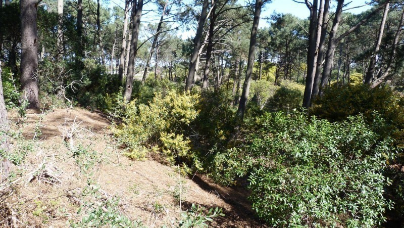 Espectacular esquina en Club del Lago sobre la avenida principal con muy buena altura.
